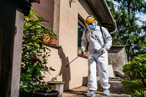 Best Pest Removal Services  in El Rio, CA