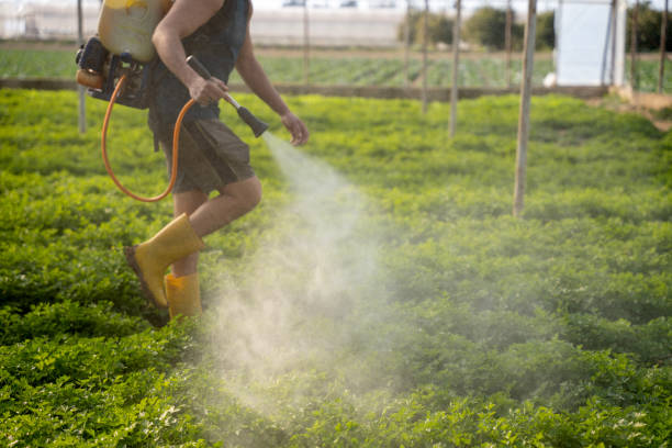 Best Pest Control for Businesses  in El Rio, CA